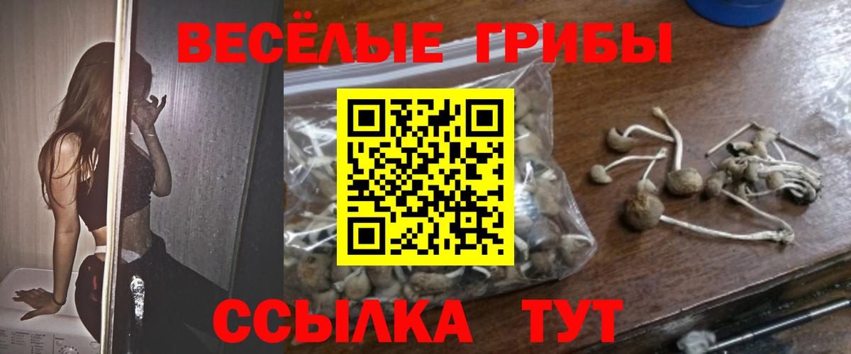 Галлюциногенные грибы Cubensis  купить наркотик  Алексин  Вход с VPN 